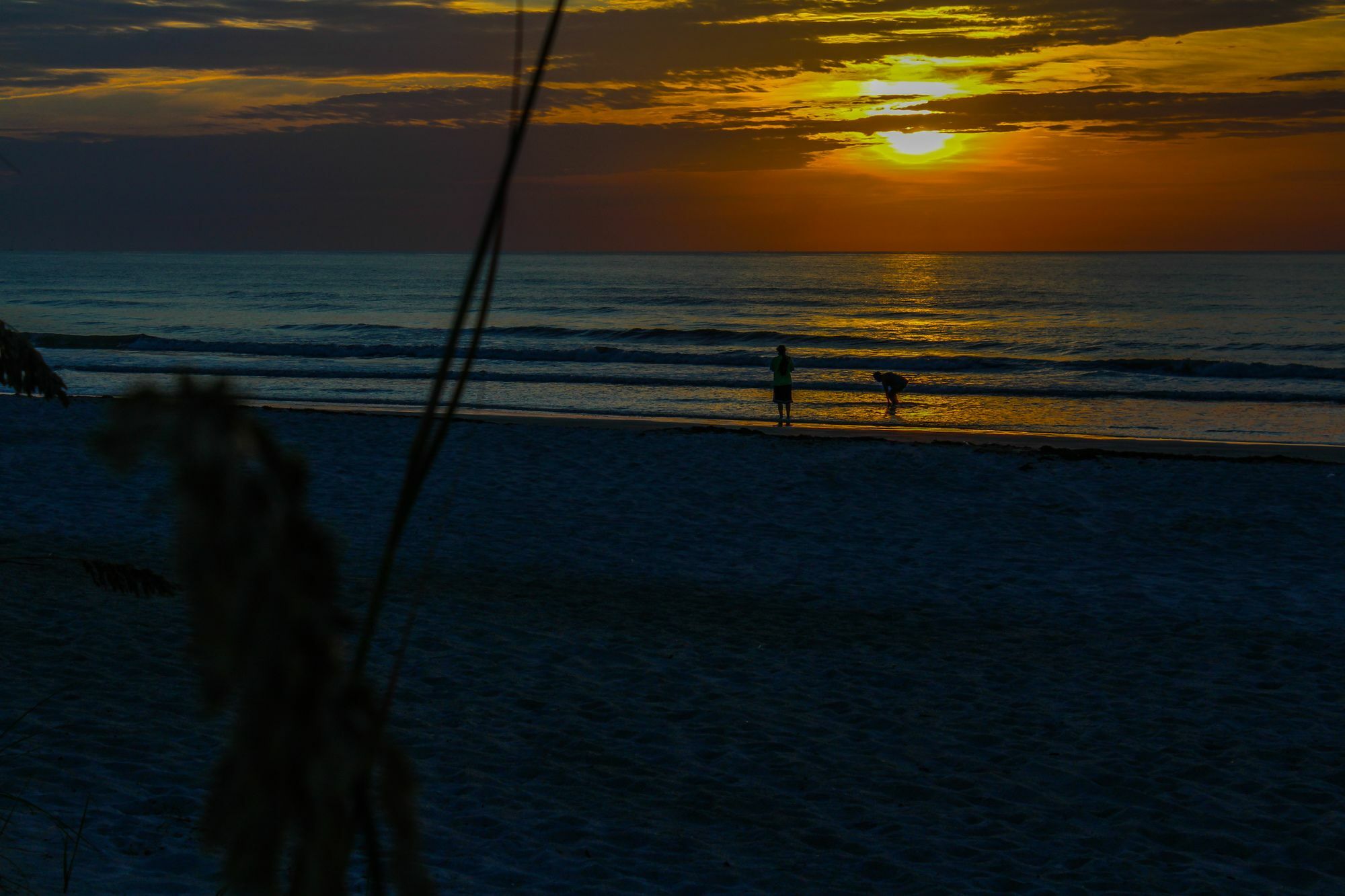 The Resort On Cocoa Beach Eksteriør bilde